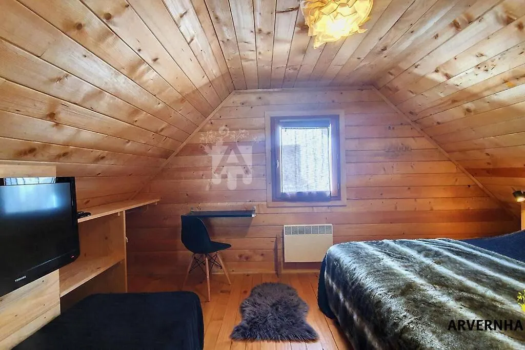Chalet De Cecile 1 Besse-et-Saint-Anastaise
