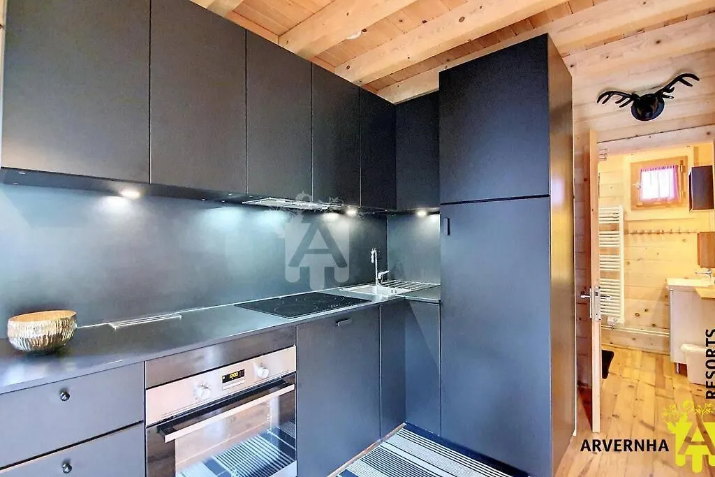 Chalet De Cecile 1 Besse-et-Saint-Anastaise